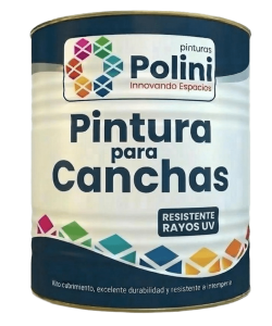 pintura canchasss (1)